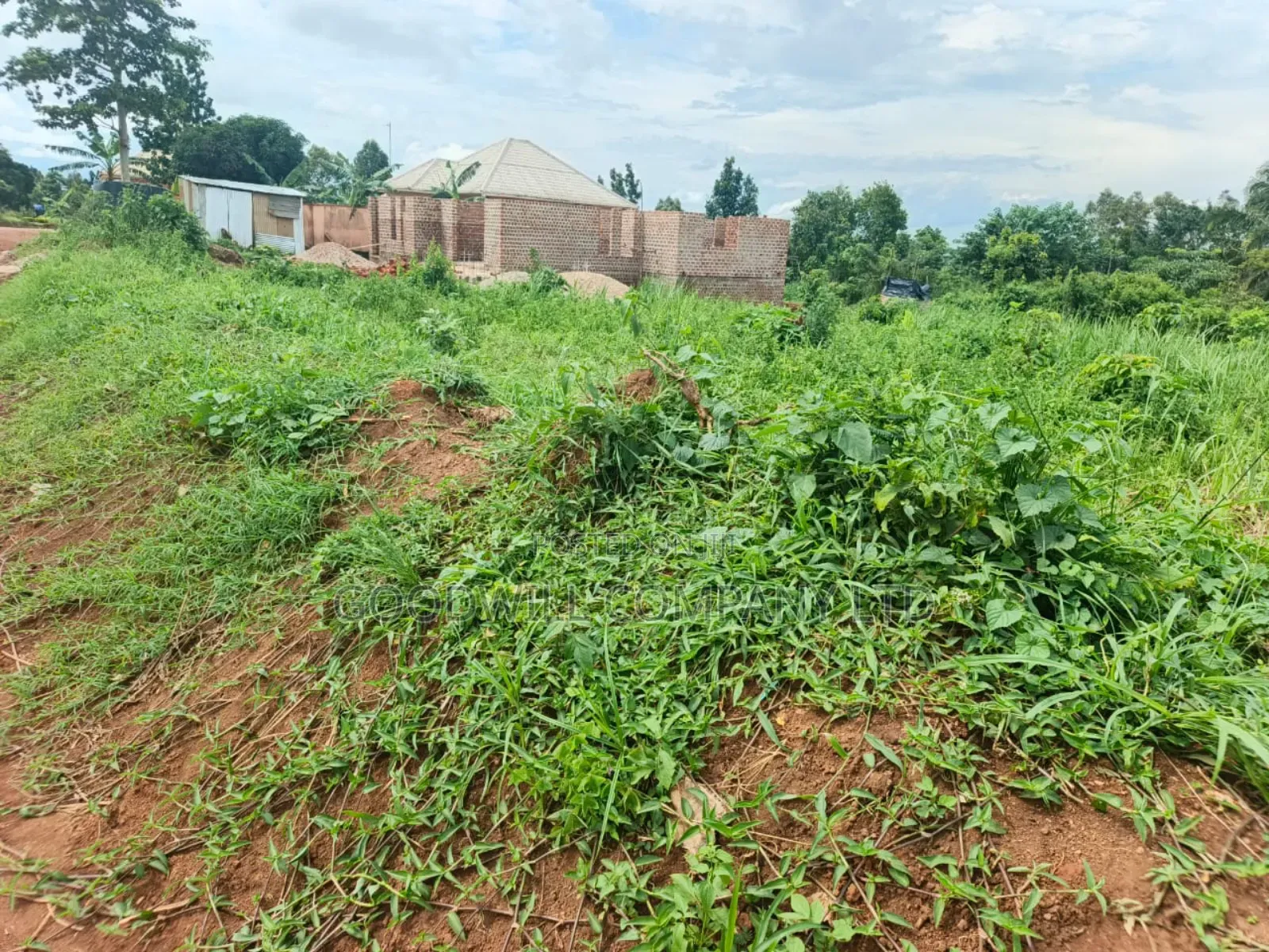 60 Decimals Plot of Land in Namaiba Mukono on Katosi Rd in Central Division
