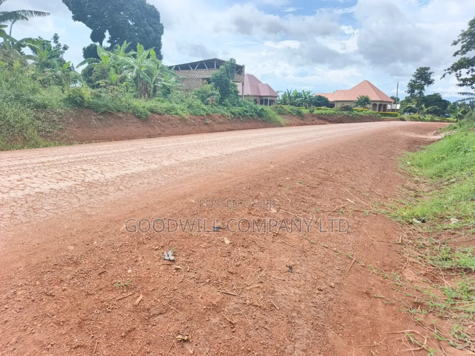 60 Decimals Plot of Land in Namaiba Mukono on Katosi Rd in Central Division