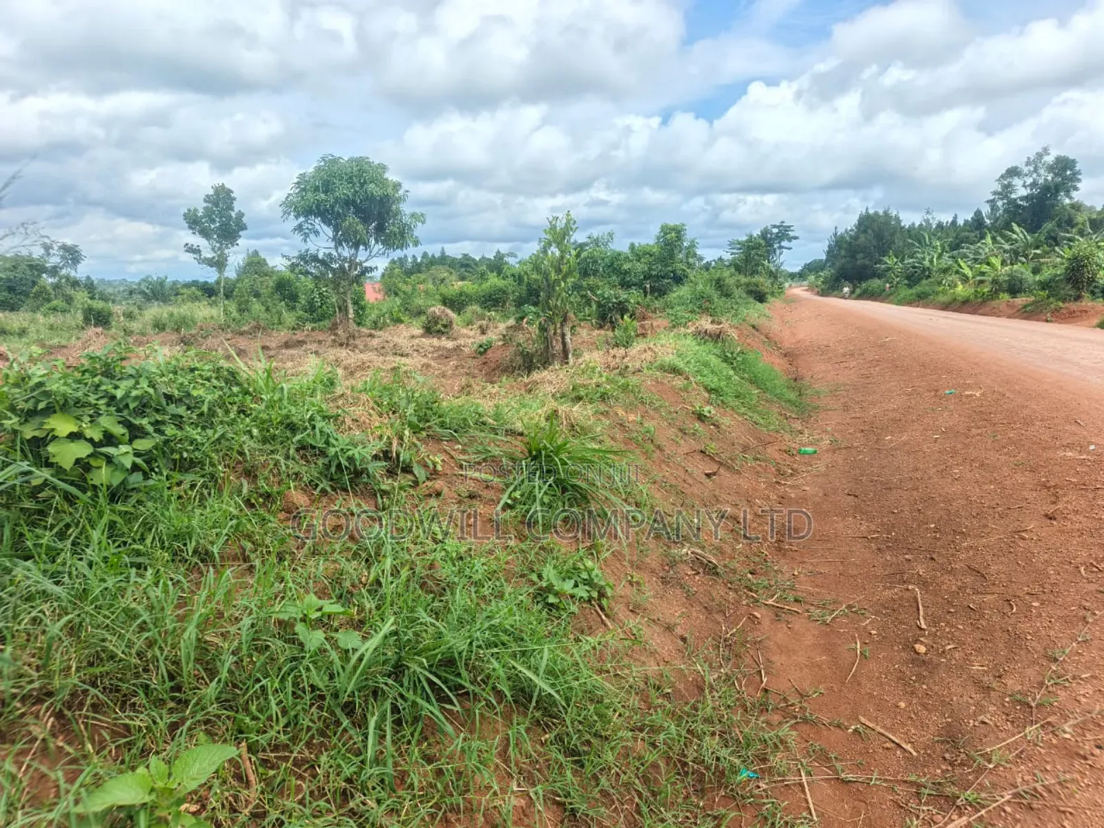 60 Decimals Plot of Land in Namaiba Mukono on Katosi Rd in Central Division