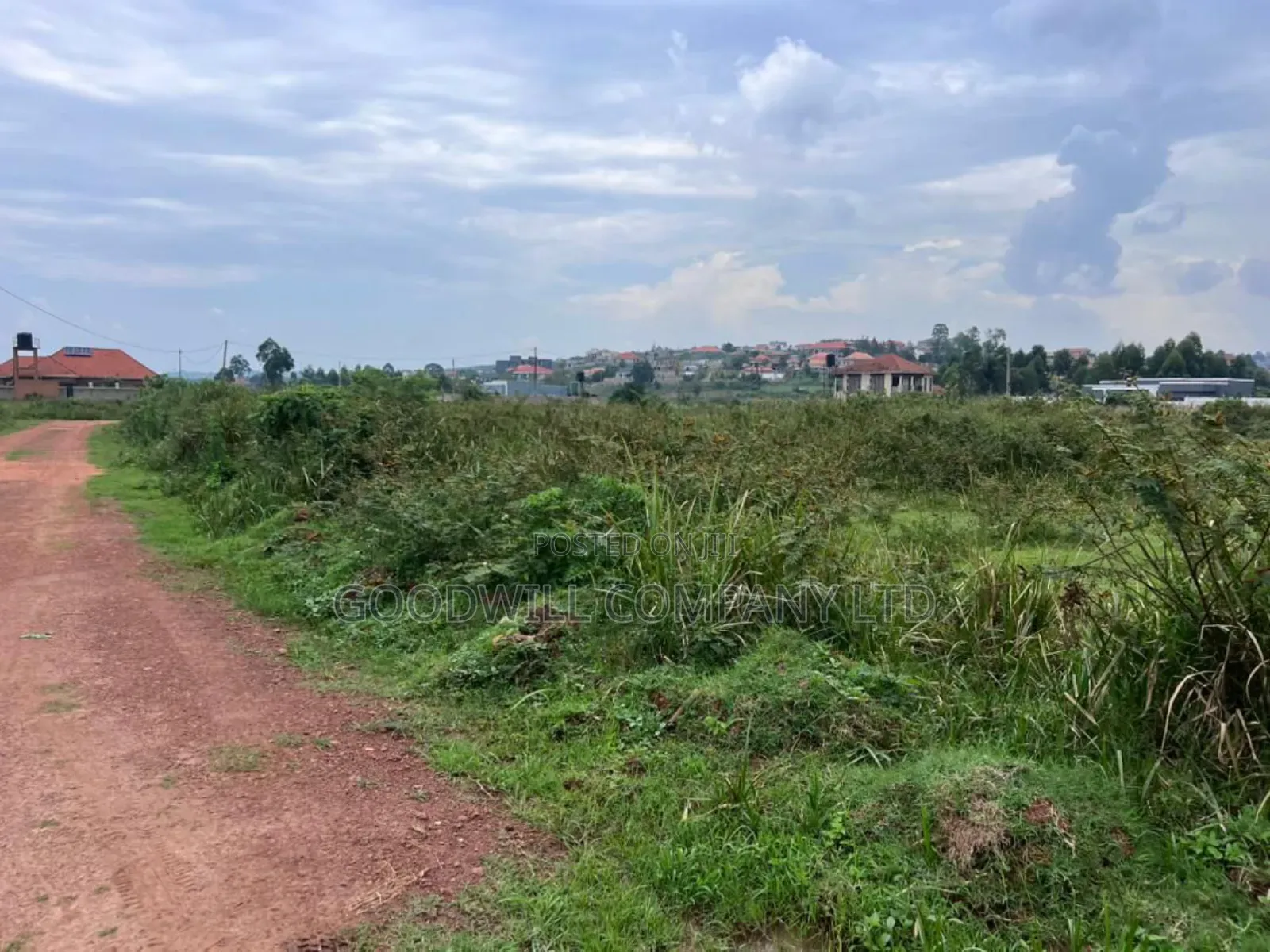 Half Acre 50 Decimals Plot of Land in Kitukutwe in Central Division