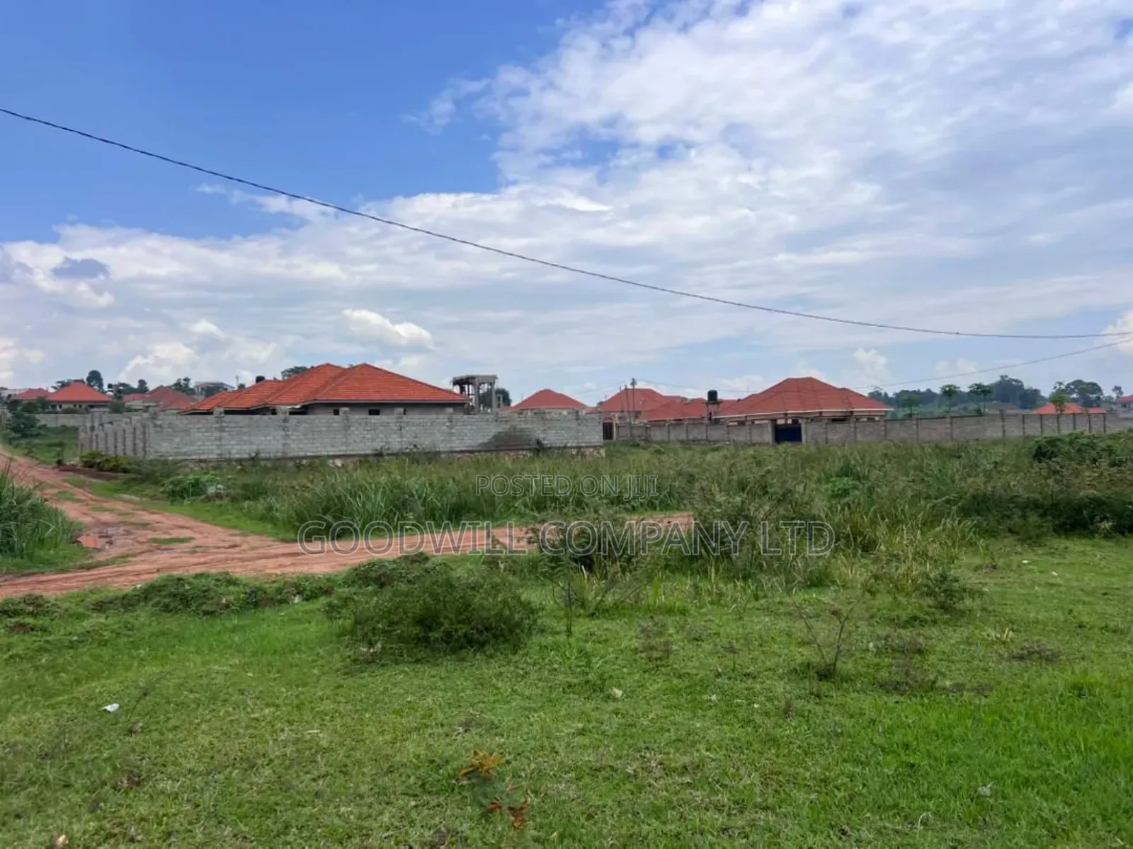 Half Acre 50 Decimals Plot of Land in Kitukutwe in Central Division