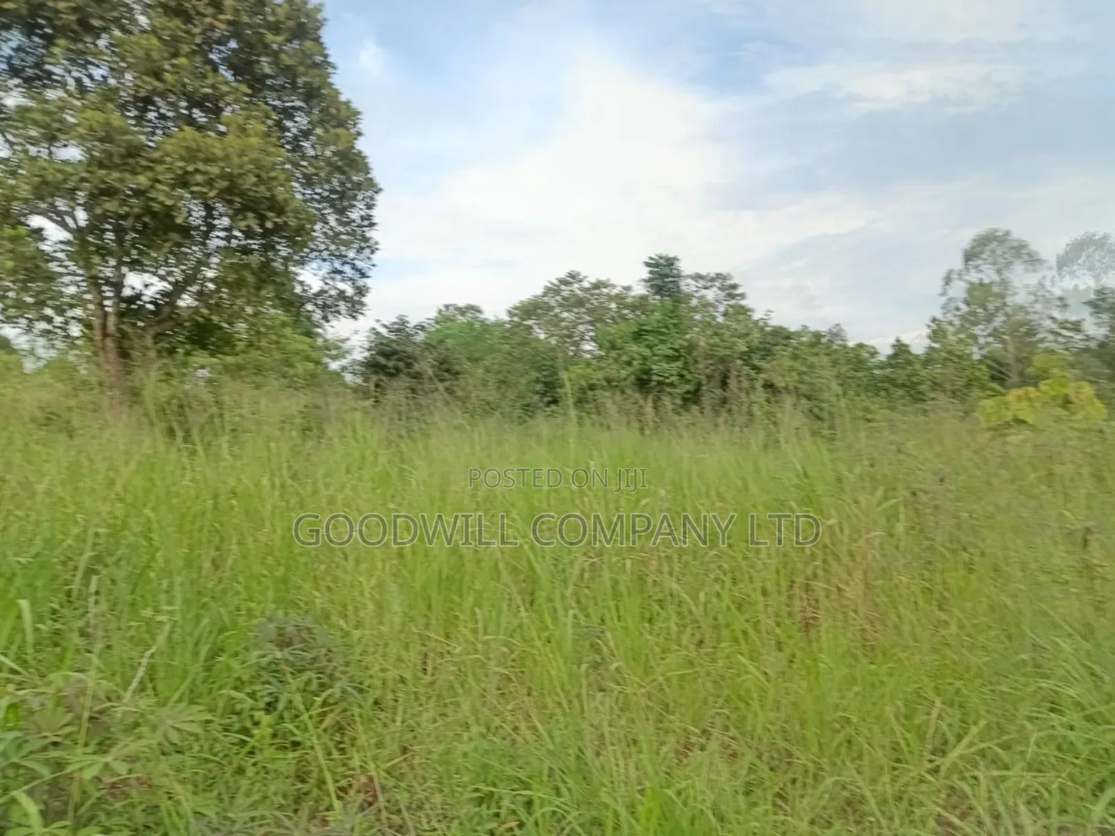 12 Acres of Land in Nakagere Bukerere Namugongo Road in Central Division