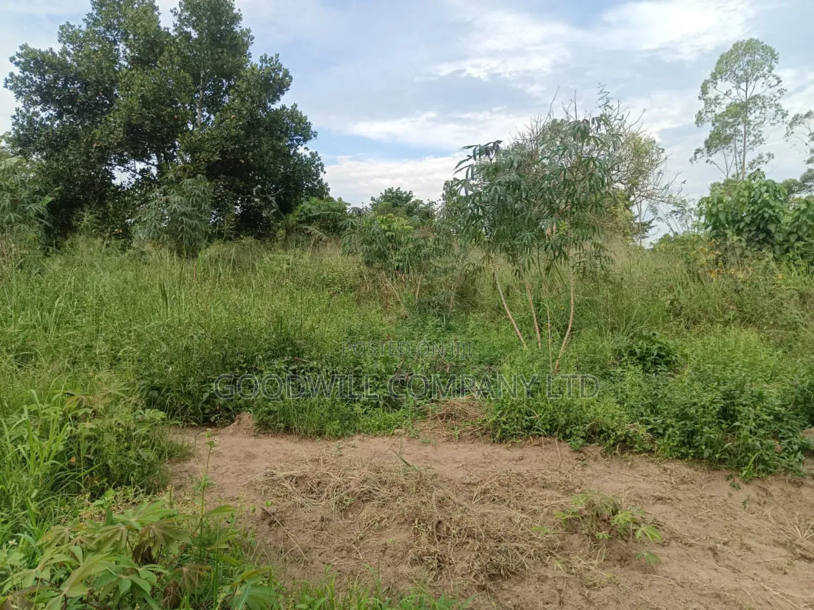12 Acres of Land in Nakagere Bukerere Namugongo Road in Central Division