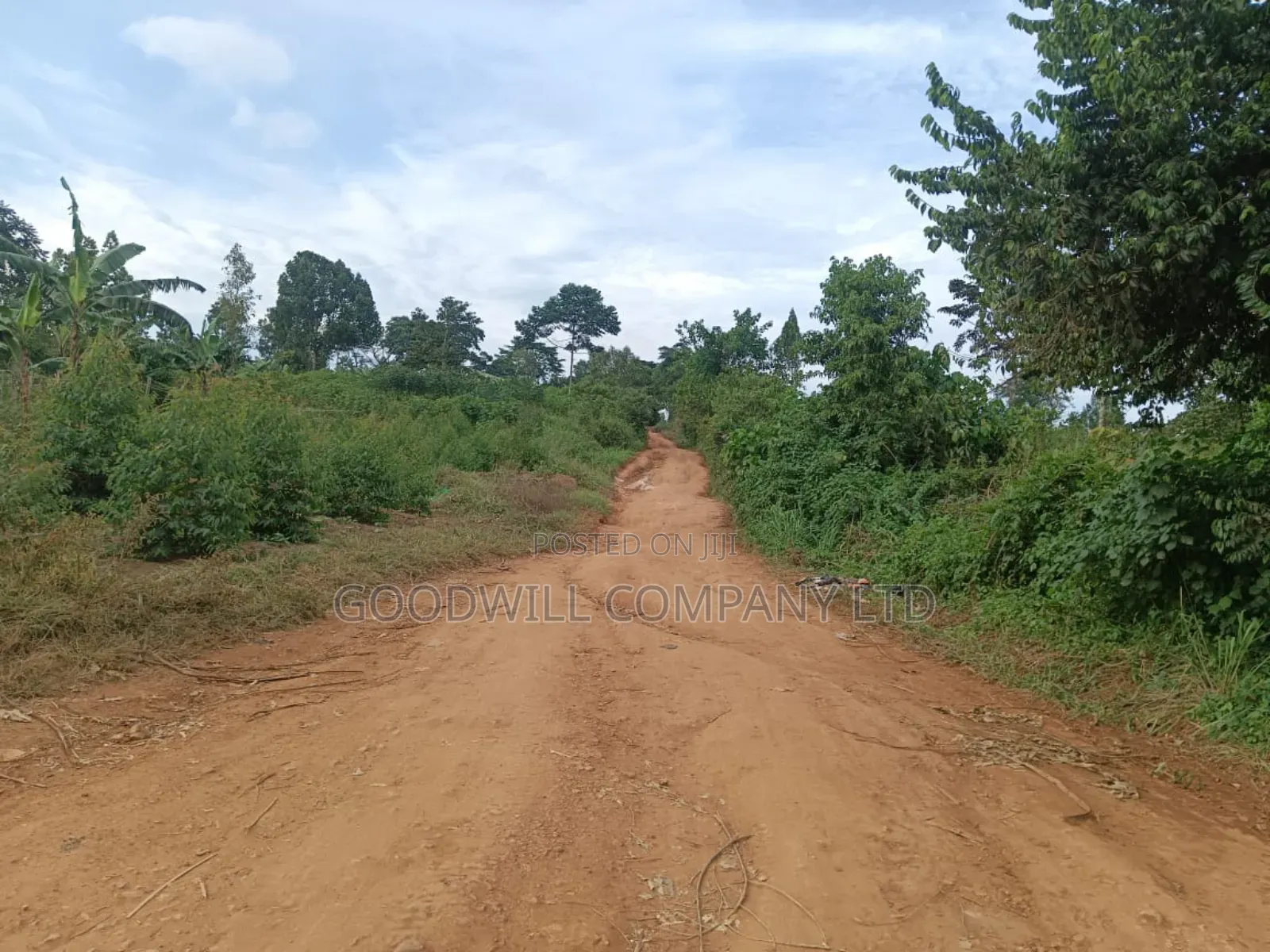 12 Acres of Land in Nakagere Bukerere Namugongo Road in Central Division