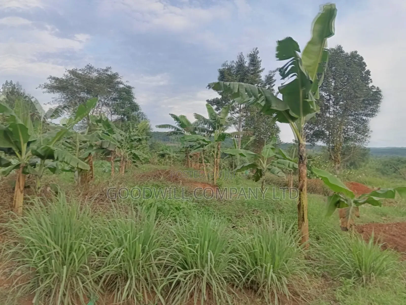 12 Acres of Land in Nakagere Bukerere Namugongo Road in Central Division