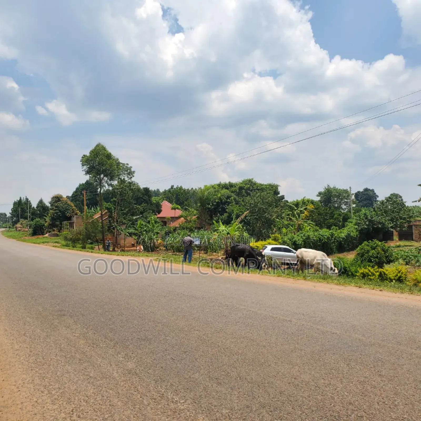 11 Acres of Land in Busiika Bulami on Zirobwe Rd in Central Division