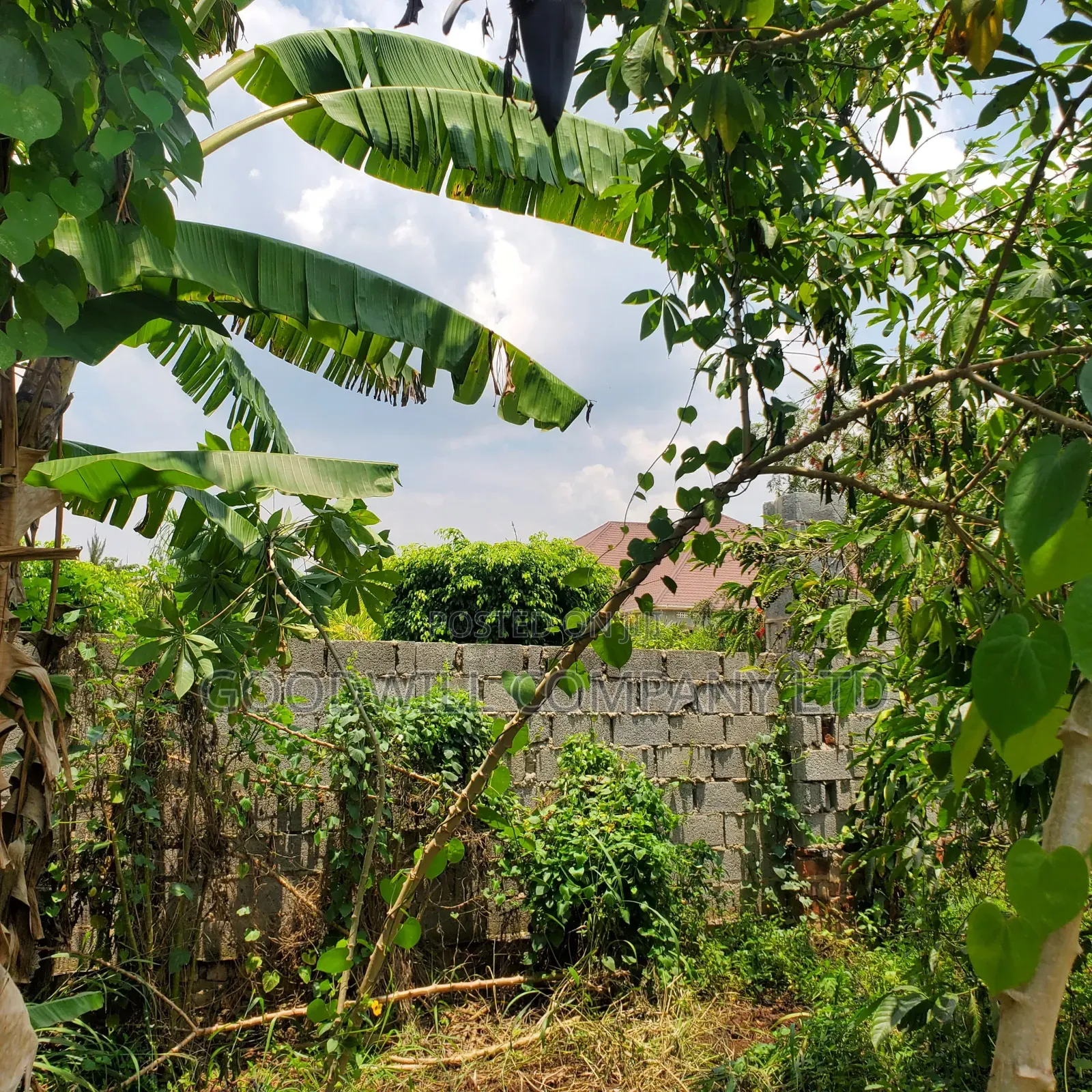 11 Acres of Land in Busiika Bulami on Zirobwe Rd in Central Division