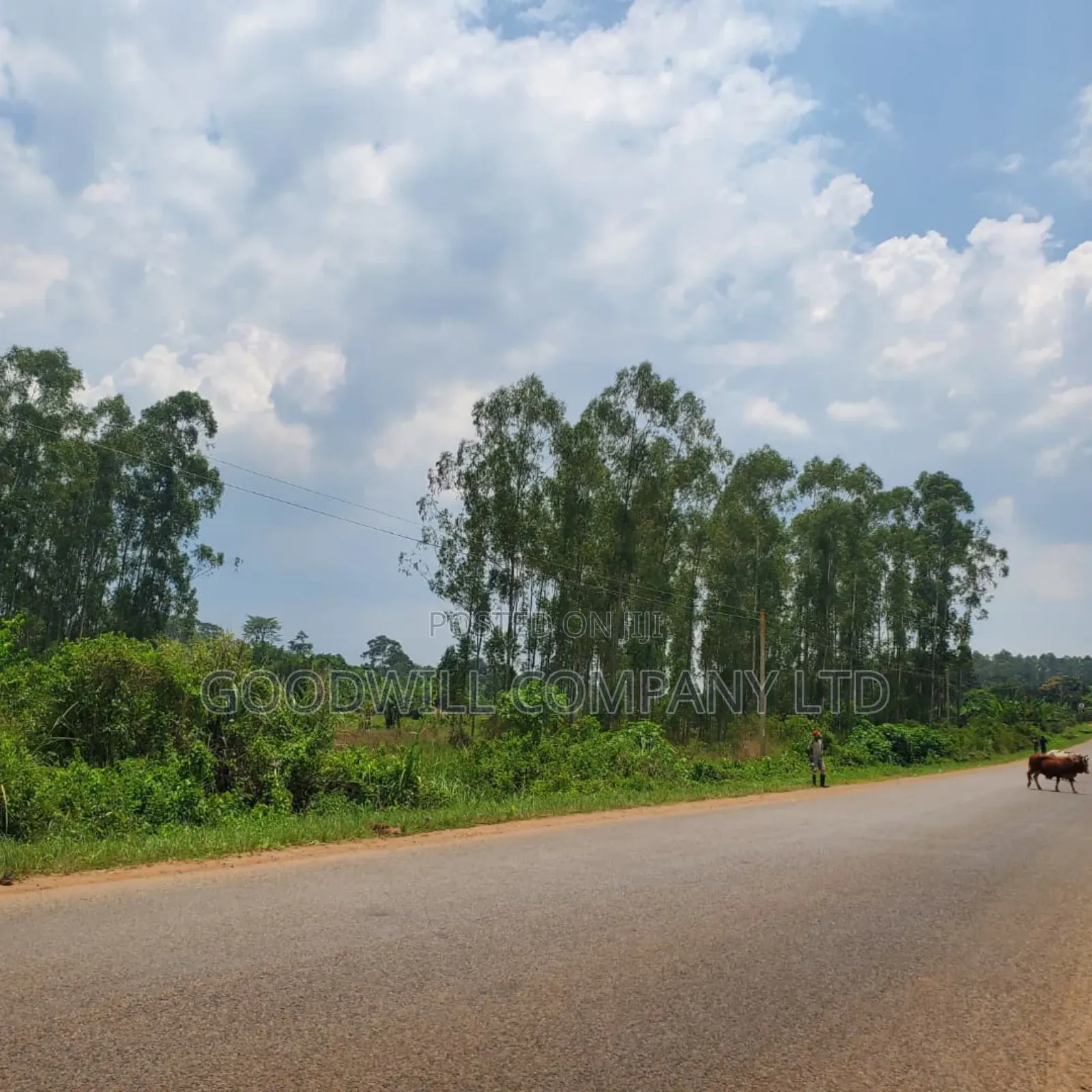 11 Acres of Land in Busiika Bulami on Zirobwe Rd in Central Division