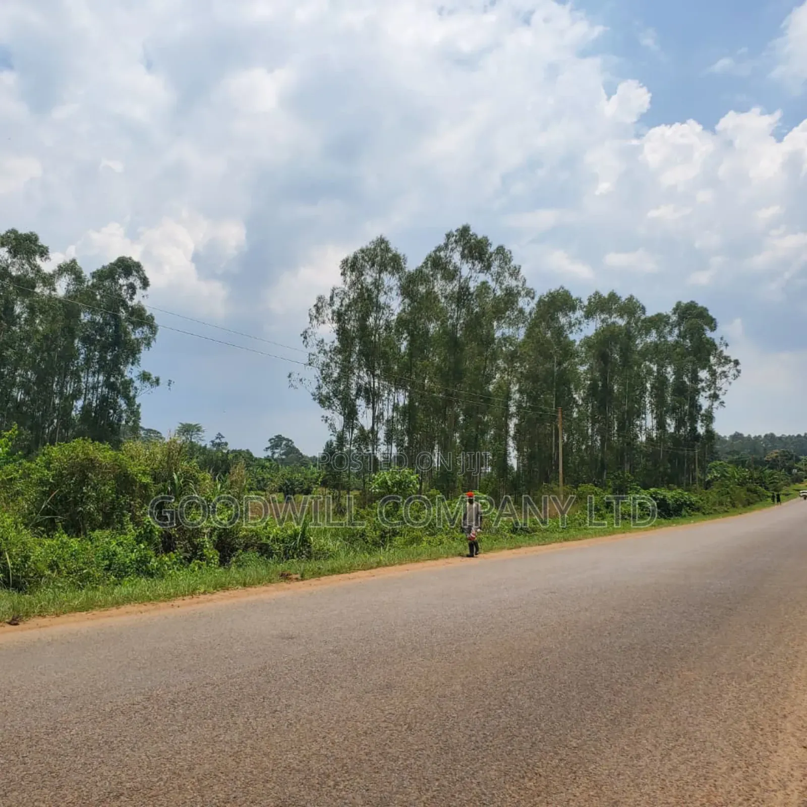 11 Acres of Land in Busiika Bulami on Zirobwe Rd in Central Division