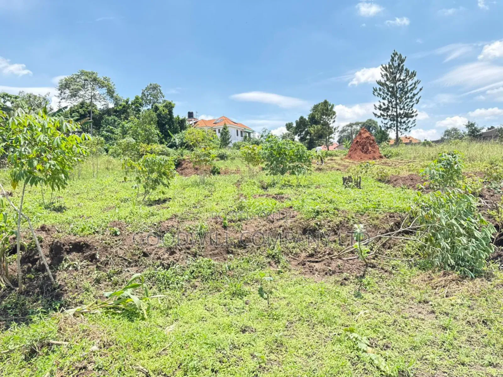 4 Acres of Land in Kiwologoma After Kira in Central Division