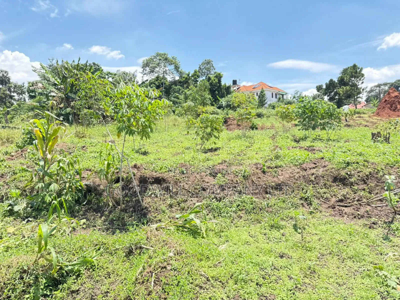 4 Acres of Land in Kiwologoma After Kira in Central Division