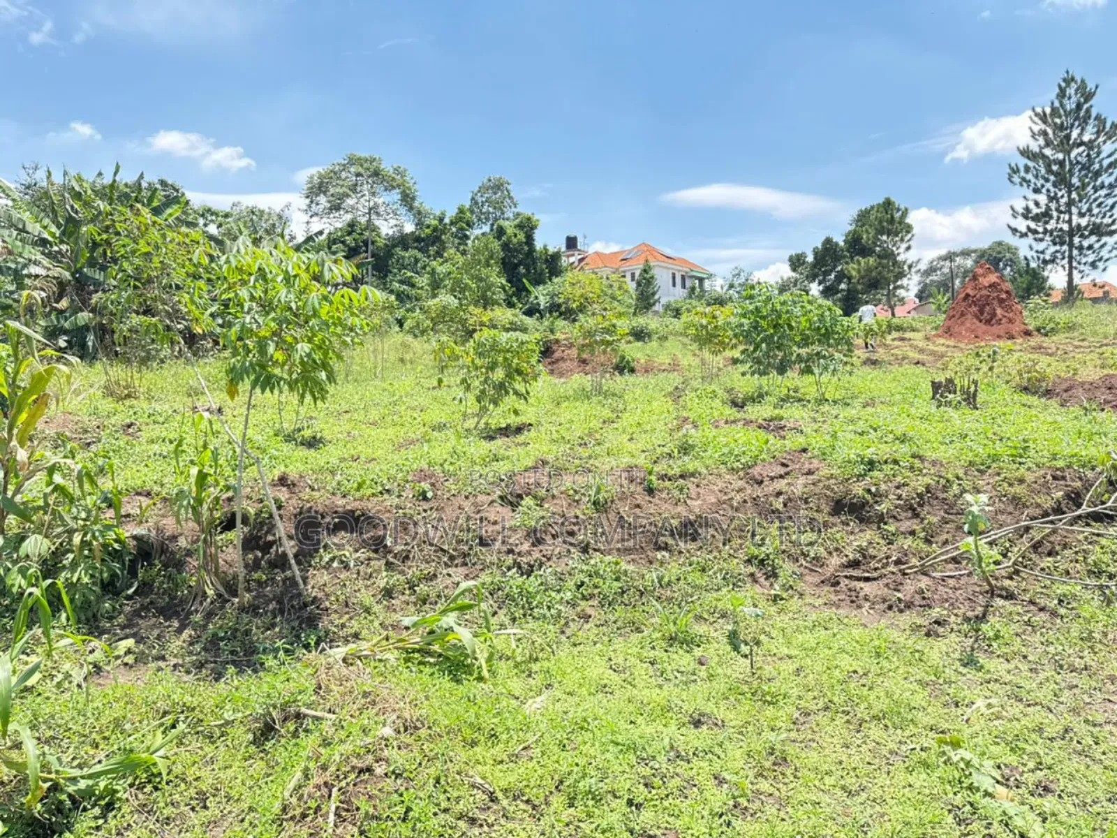 4 Acres of Land in Kiwologoma After Kira in Central Division