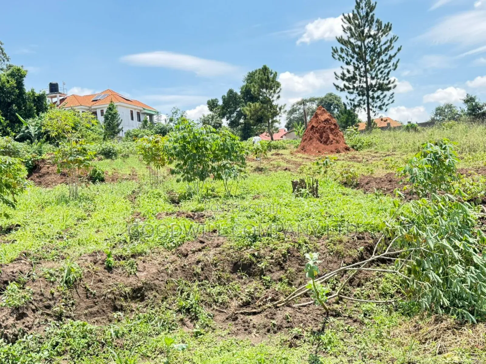 4 Acres of Land in Kiwologoma After Kira in Central Division