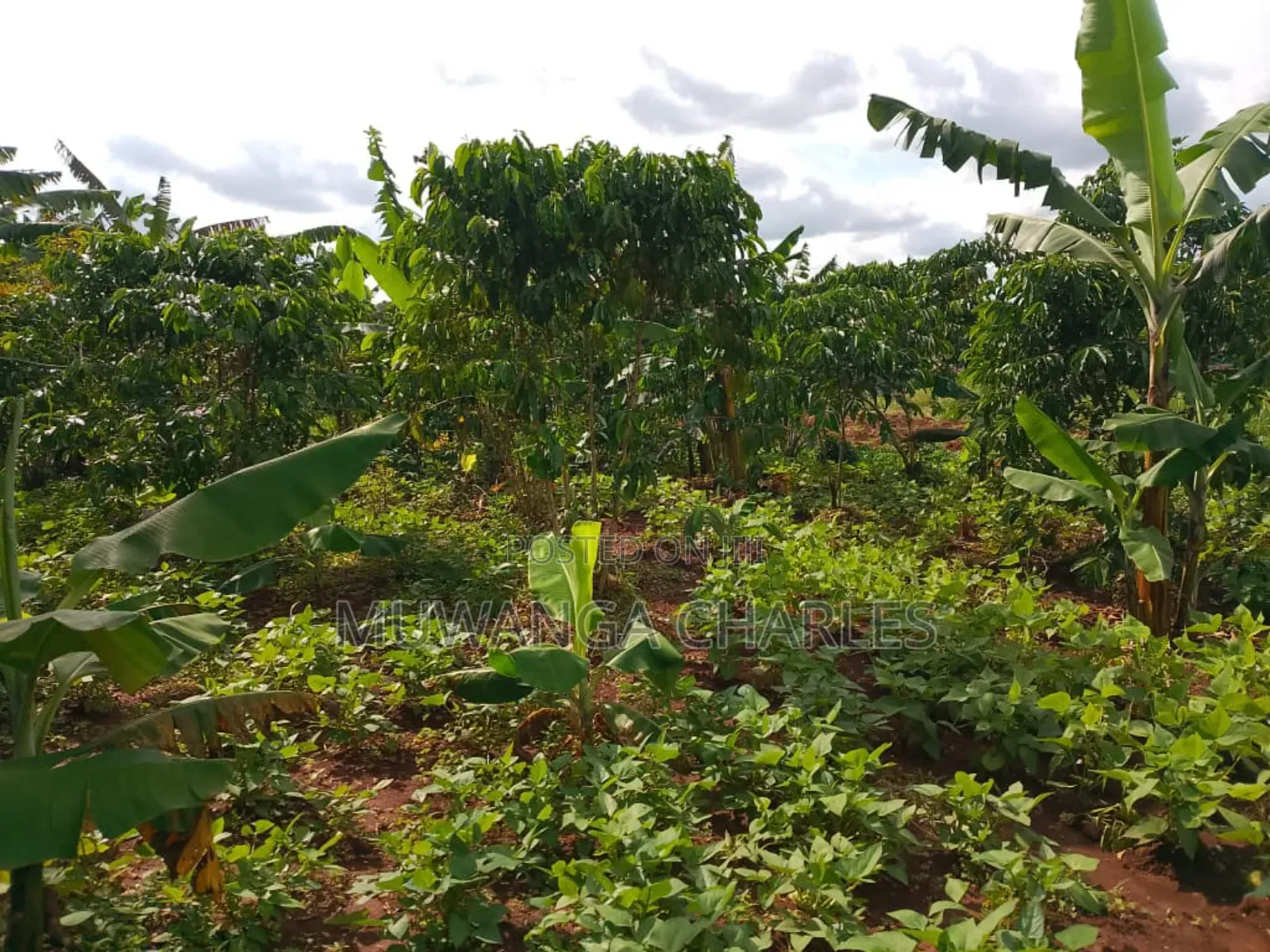 2acres of Land on Sale in Kanyanda Matugga in Gombe