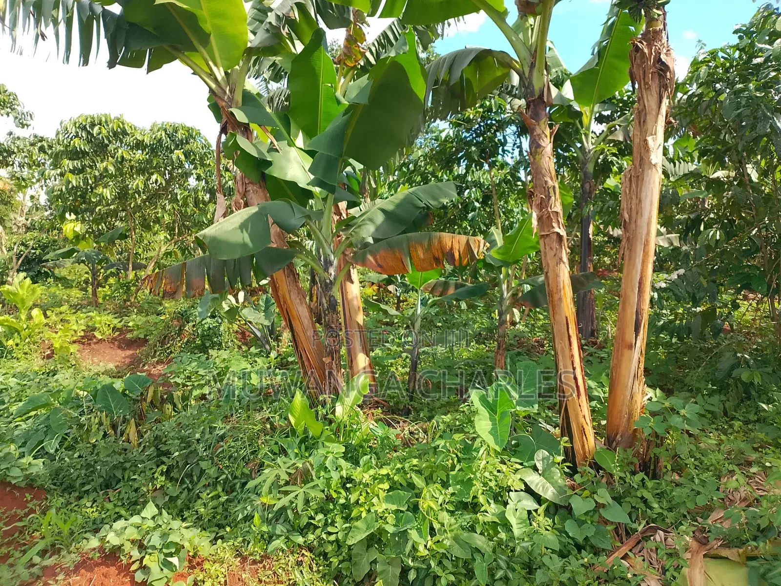 2acres of Land on Sale in Kanyanda Matugga in Gombe