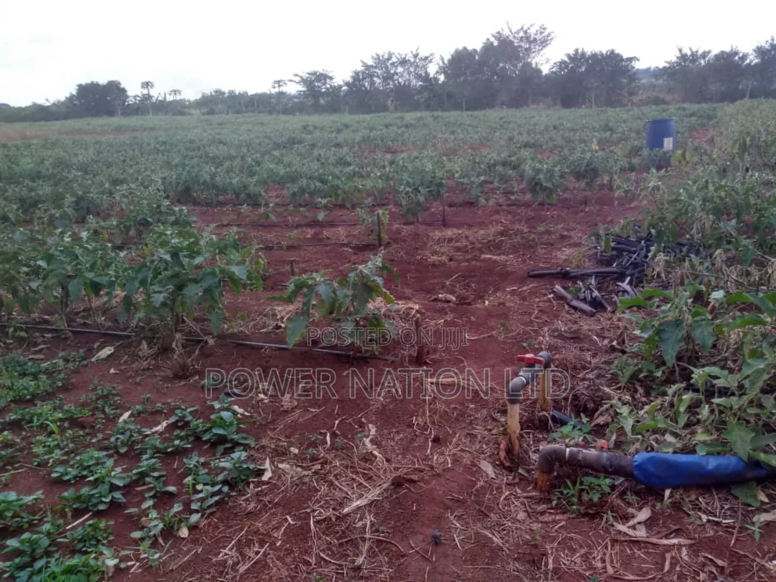 Farmland of 20 Acres of Land Nakaseke Off Ngoma Butalangu Road in Central Division