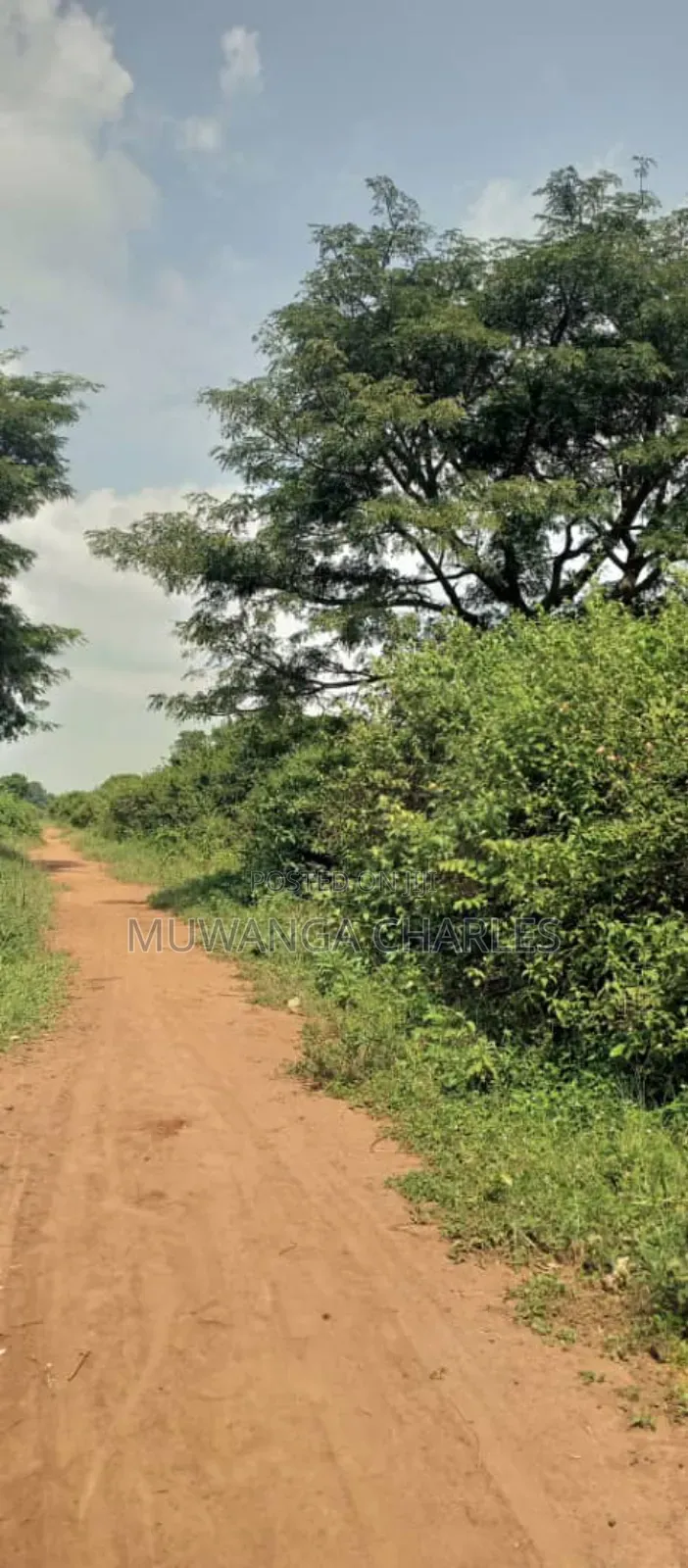 Land on Sale in Zirobwe Ndalike in Zirobwe