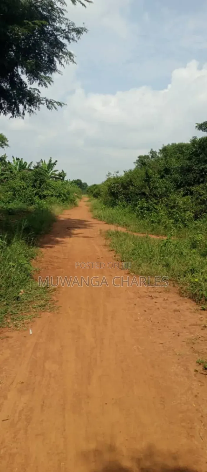 Land on Sale in Zirobwe Ndalike in Zirobwe