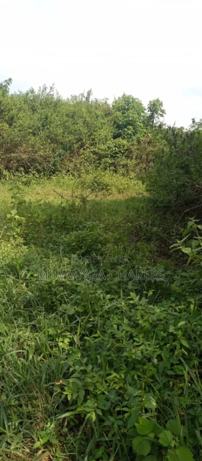 Land on Sale in Zirobwe Ndalike in Zirobwe