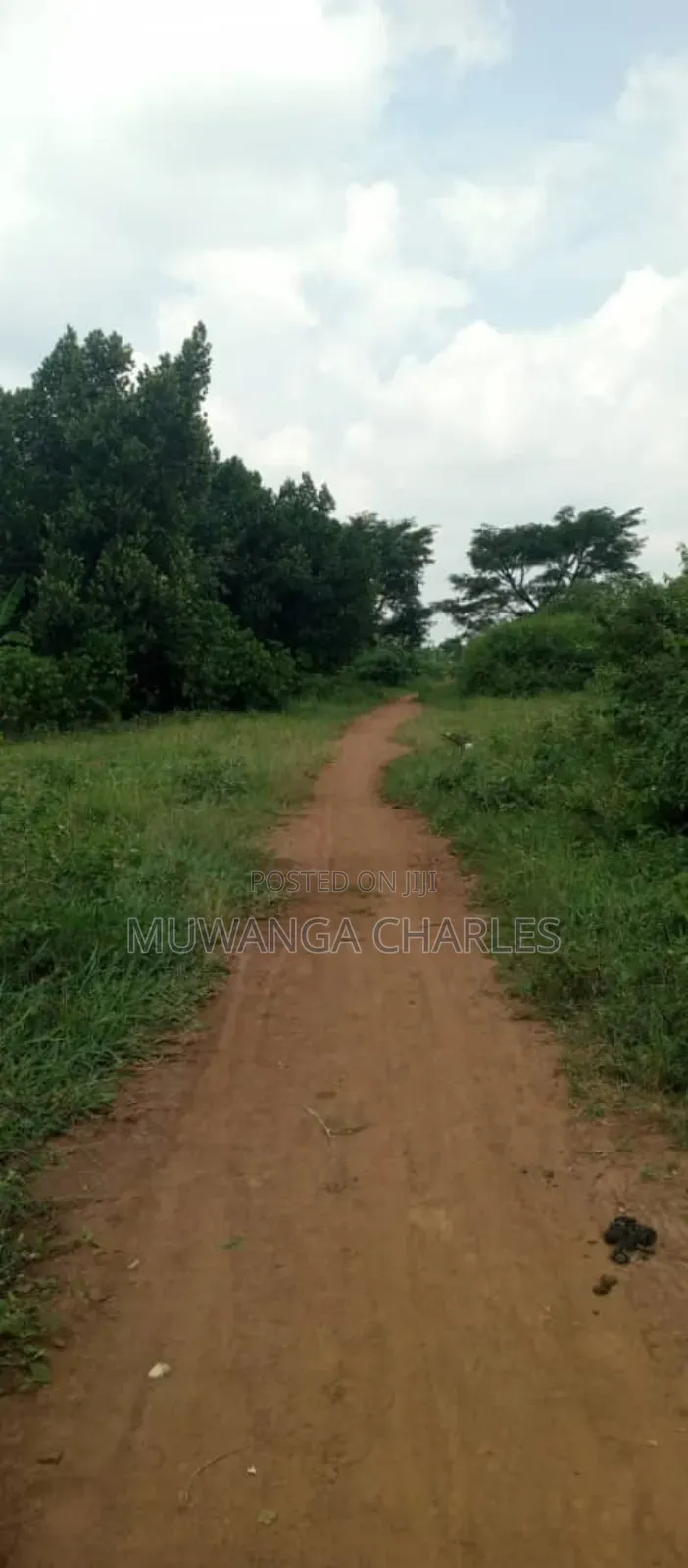 Land on Sale in Zirobwe Ndalike in Zirobwe