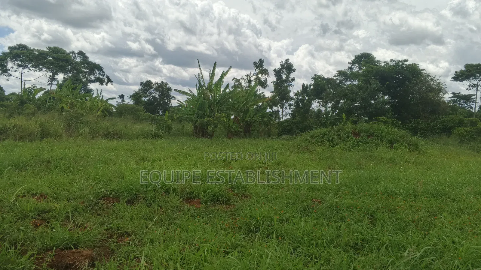 Kibanja Plot Available in Kasawo
