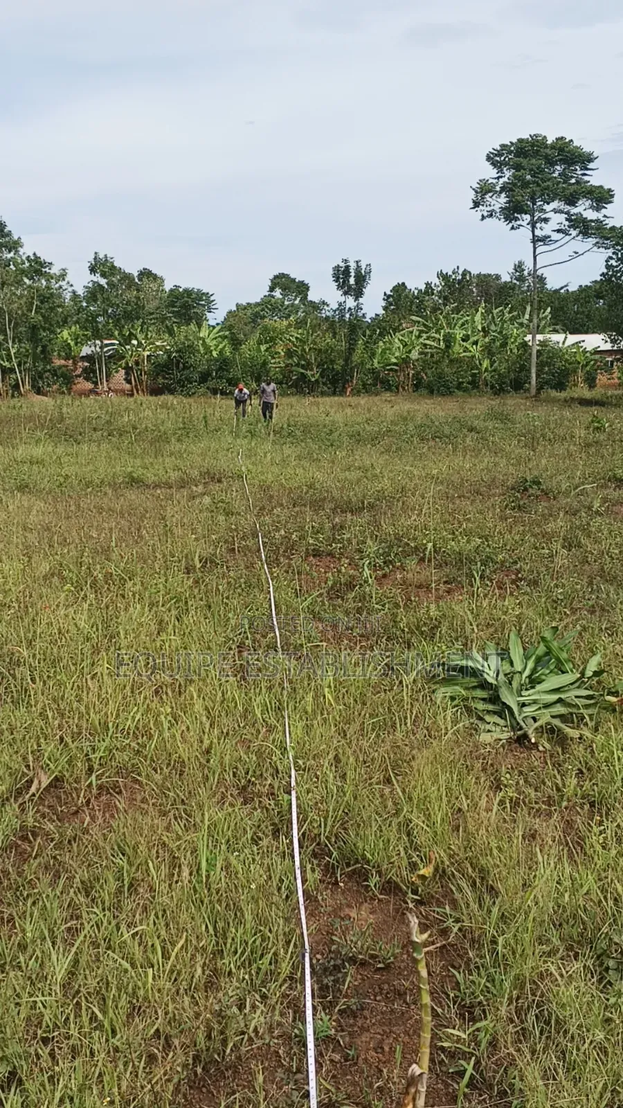 Kibanja Plot Available in Kasawo