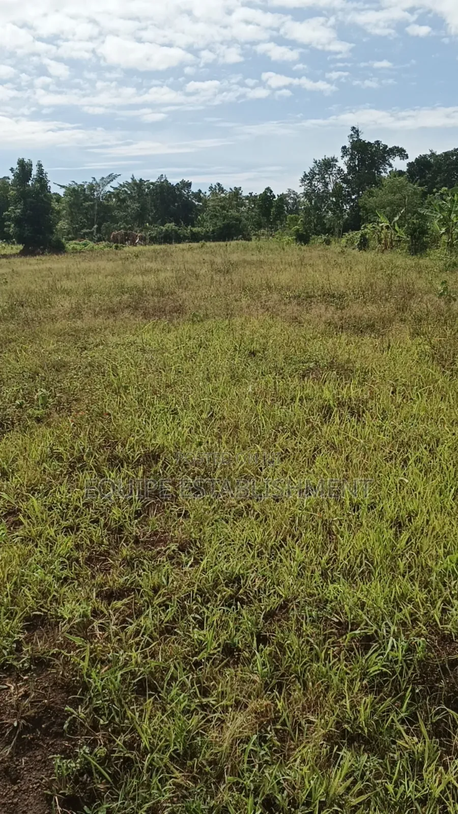 Kibanja Plot Available in Kasawo