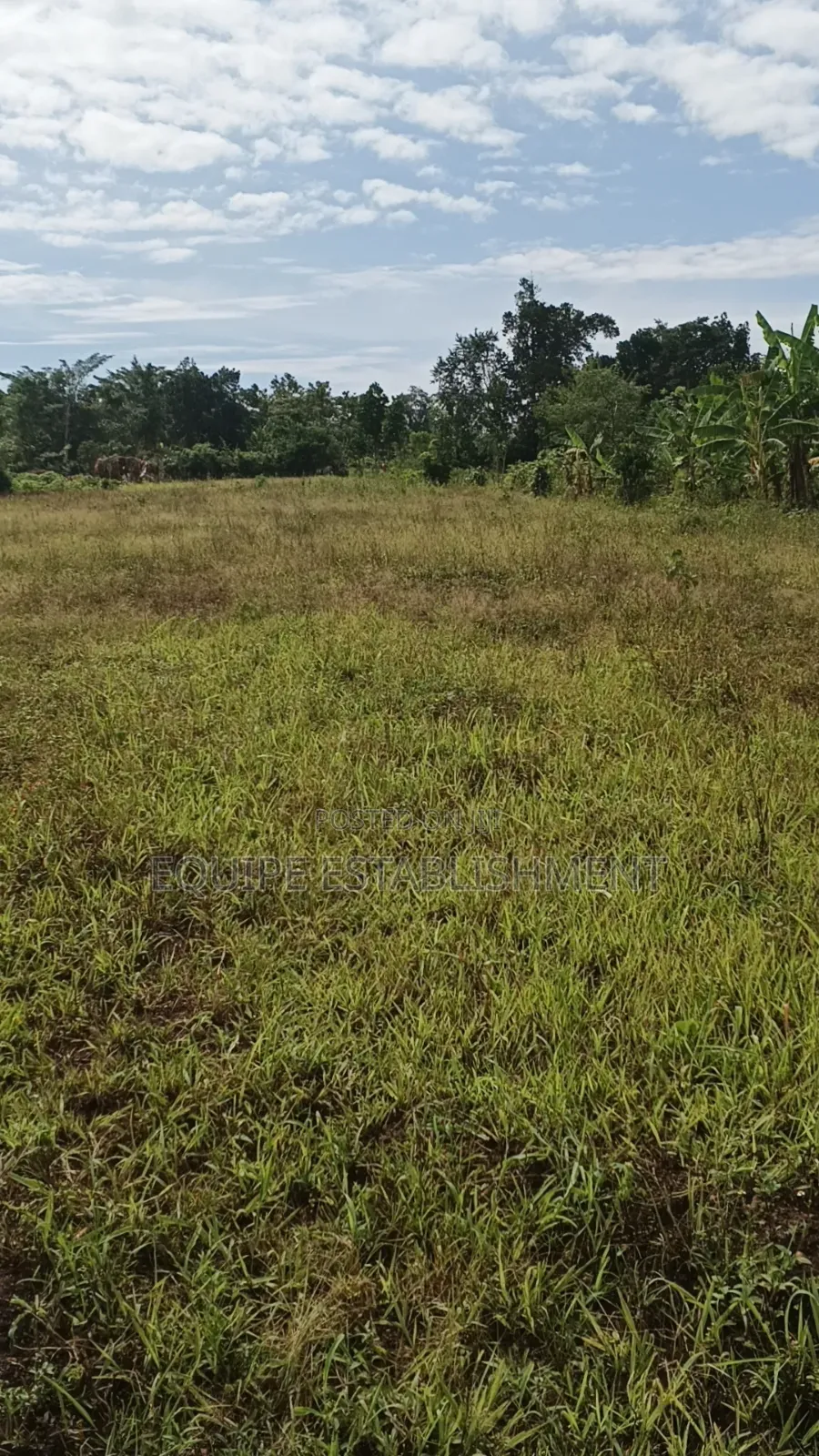 Kibanja Plot Available in Kasawo