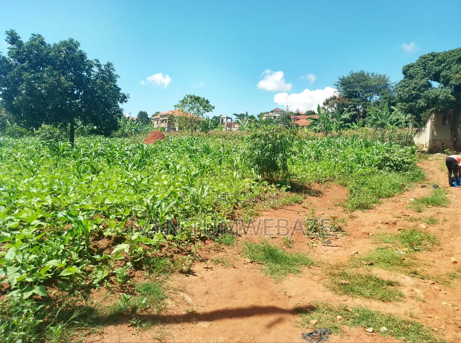 Plot For Sale In Mutungo Kigo in Central Division