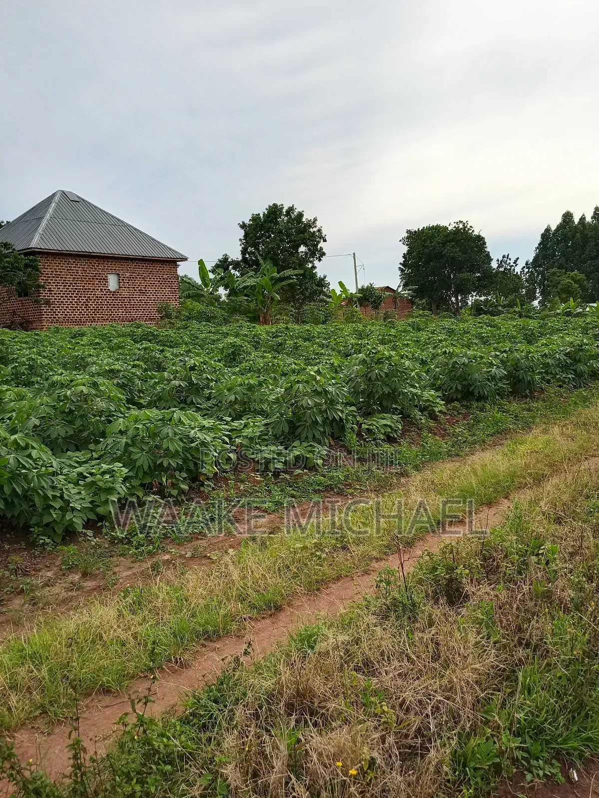 Plot for Sale in Kalagala