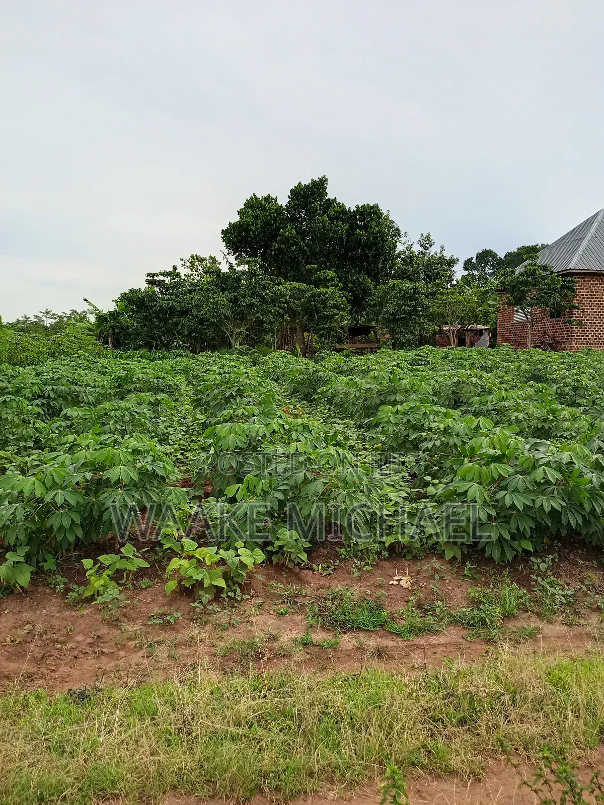 Plot for Sale in Kalagala