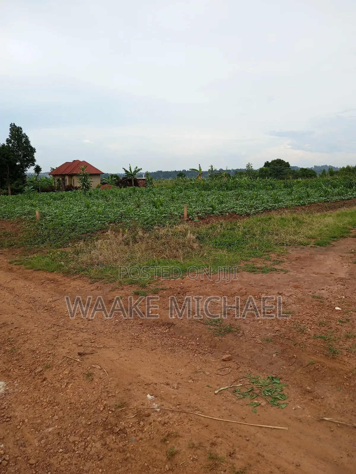 Plot for Sale in Kalagala