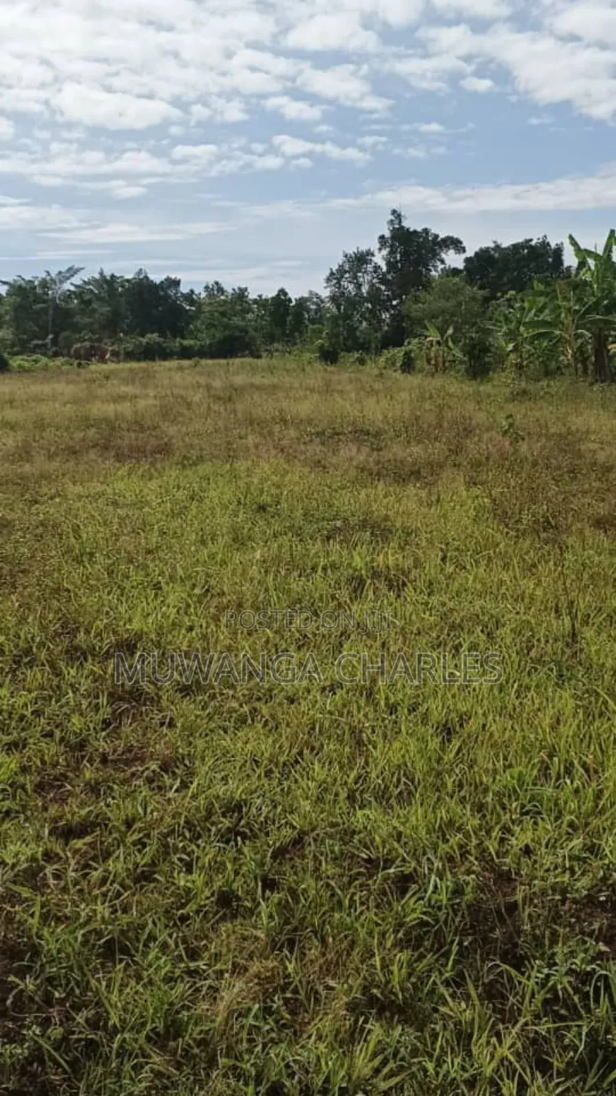 Plots on Sale in Matugga Kitungwa in Gombe