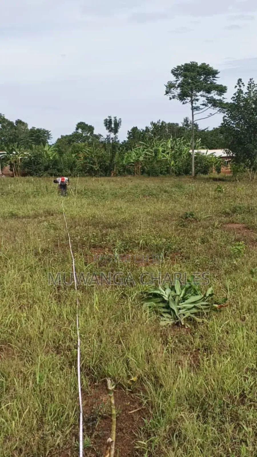 Plots on Sale in Matugga Kitungwa in Gombe