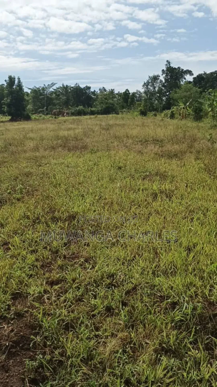 Plots on Sale in Matugga Kitungwa in Gombe