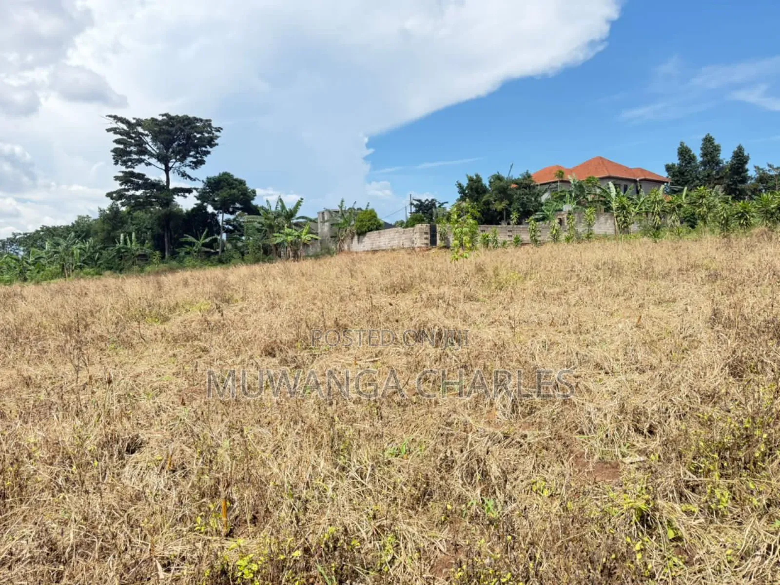Plots on Sale in Kiwologoma Phase 1 in Kira