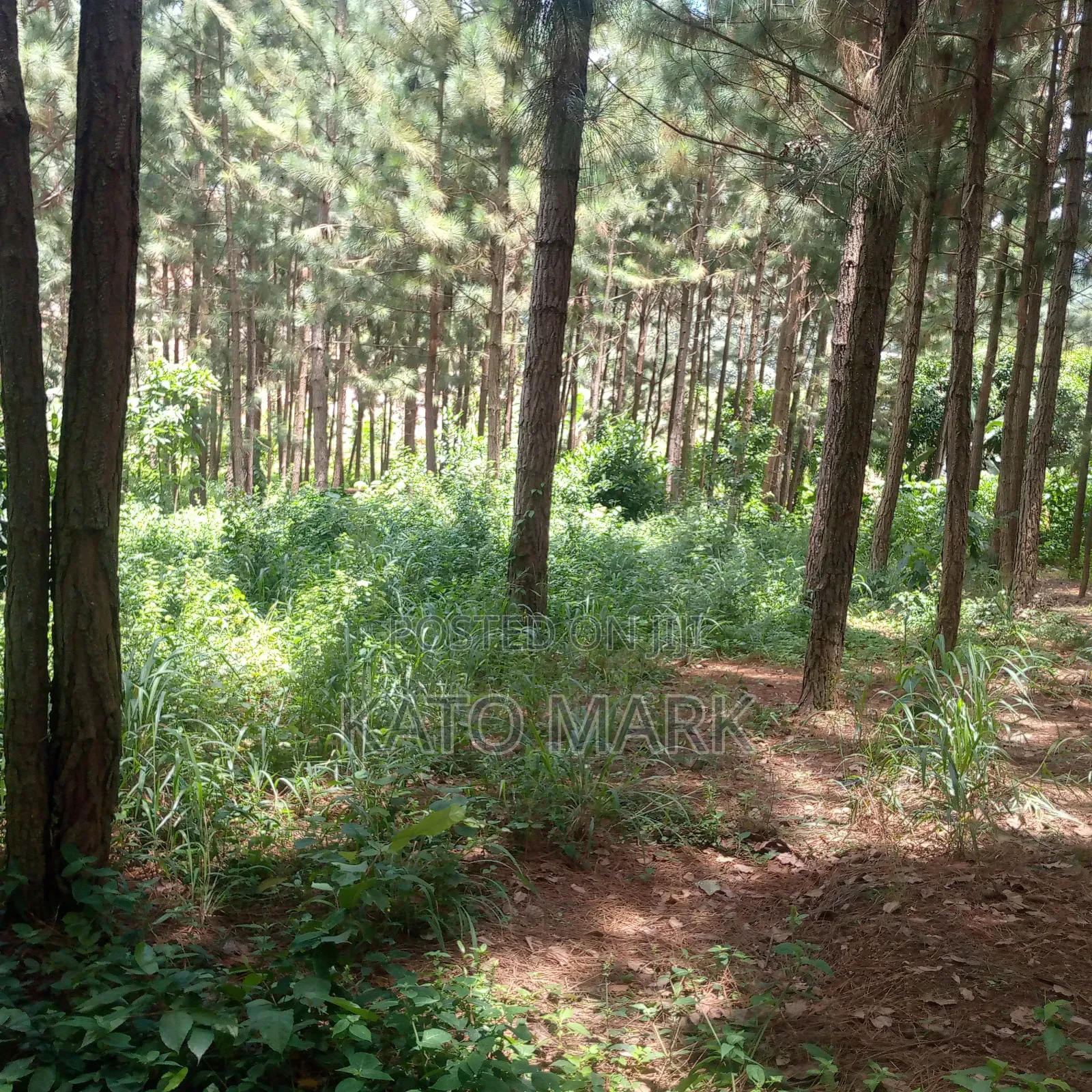 One Acre for Sale Located at Seeta Kikoza Town Mukono in Mukono TC