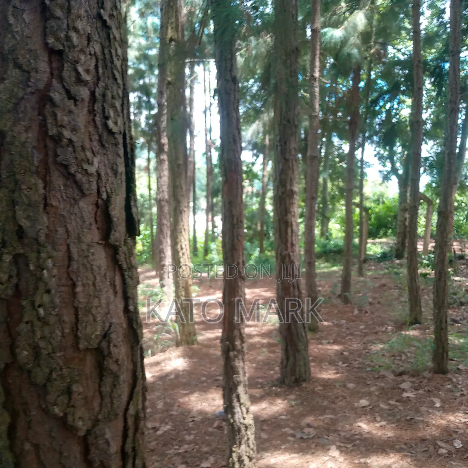 One Acre for Sale Located at Seeta Kikoza Town Mukono in Mukono TC