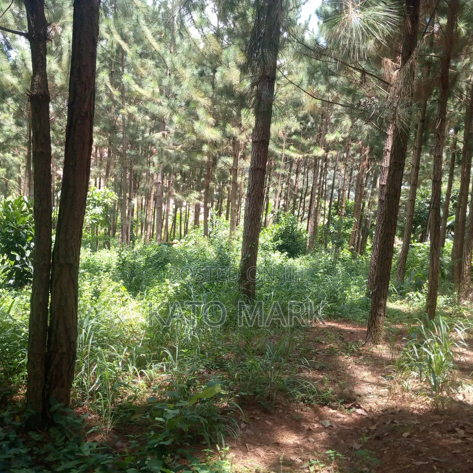 One Acre for Sale Located at Seeta Kikoza Town Mukono in Mukono TC