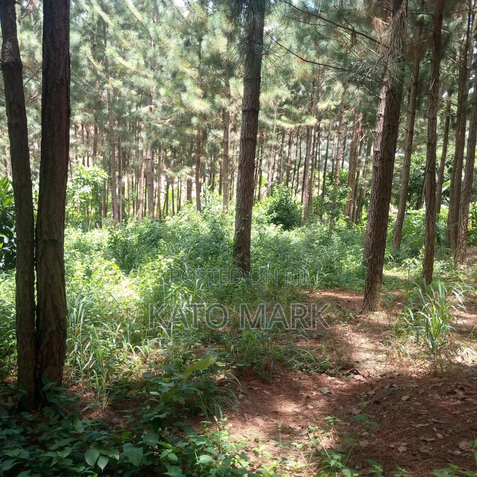 One Acre for Sale Located at Seeta Kikoza Town Mukono in Mukono TC