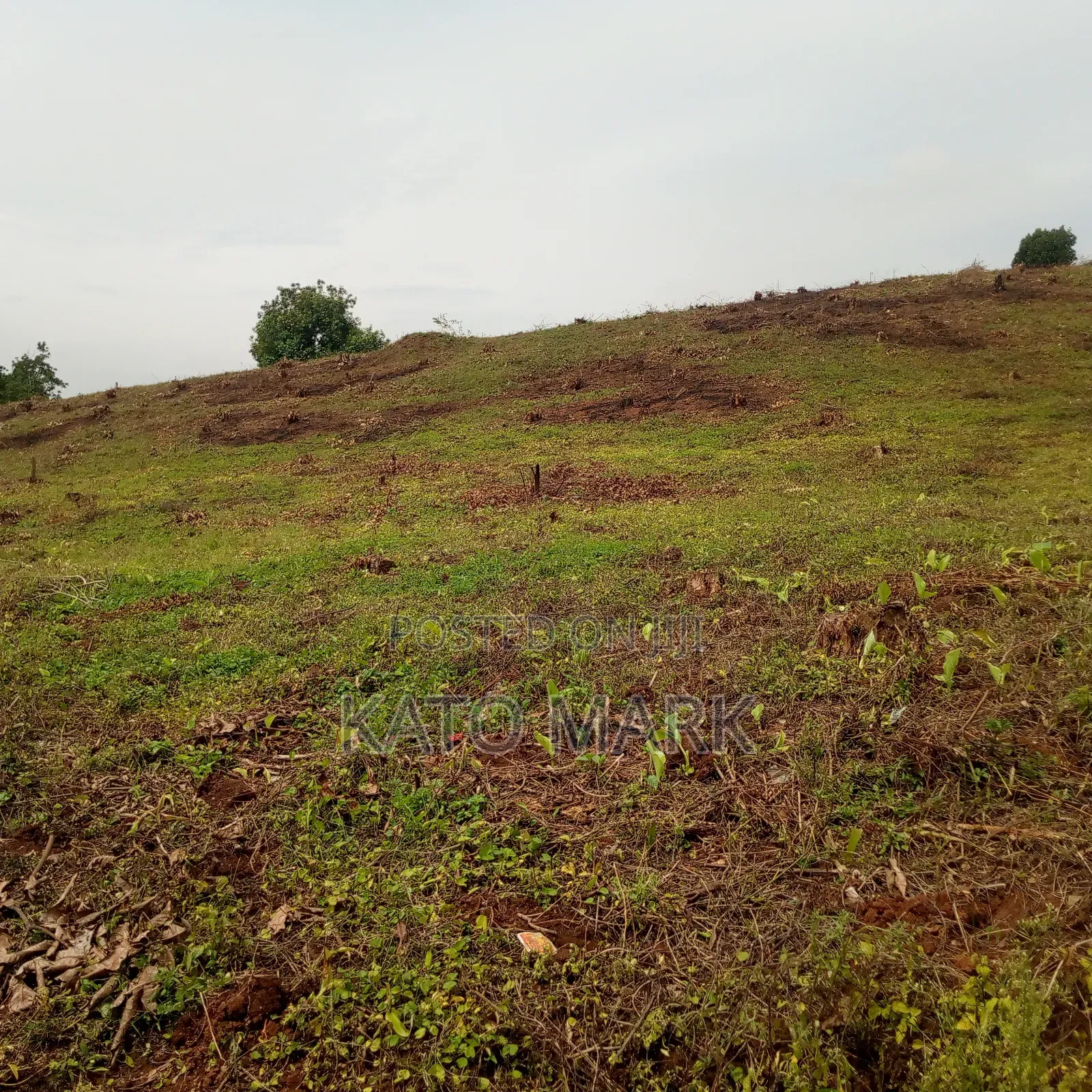 2 Acres for Sale Located at Mukono Kabembe in Mukono TC
