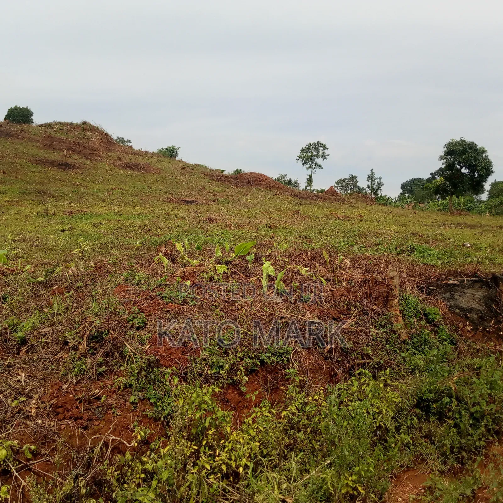 2 Acres for Sale Located at Mukono Kabembe in Mukono TC