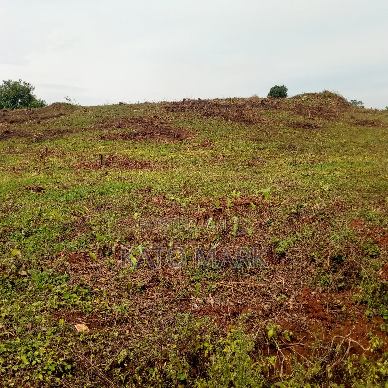 2 Acres for Sale Located at Mukono Kabembe in Mukono TC