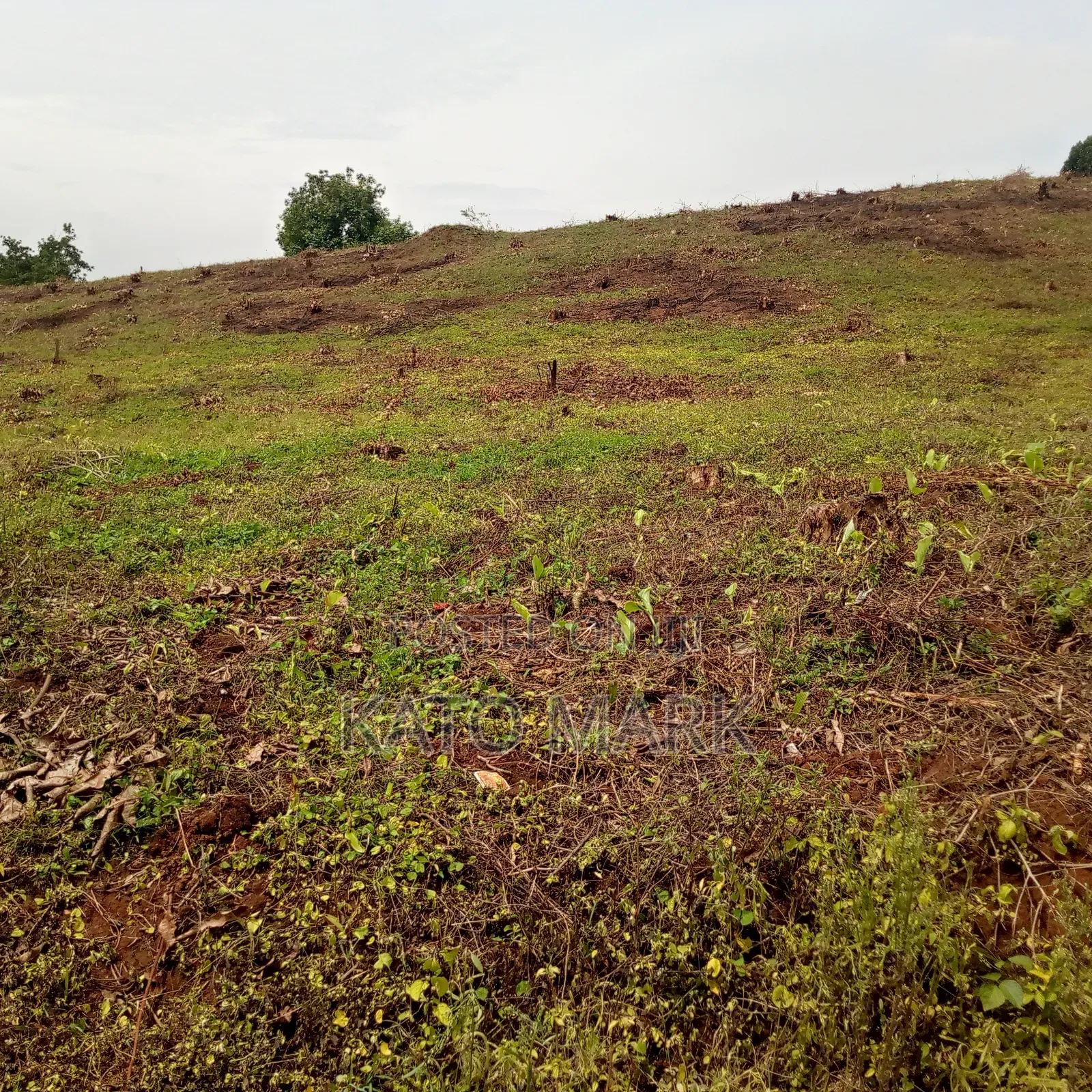 2 Acres for Sale Located at Mukono Kabembe in Mukono TC