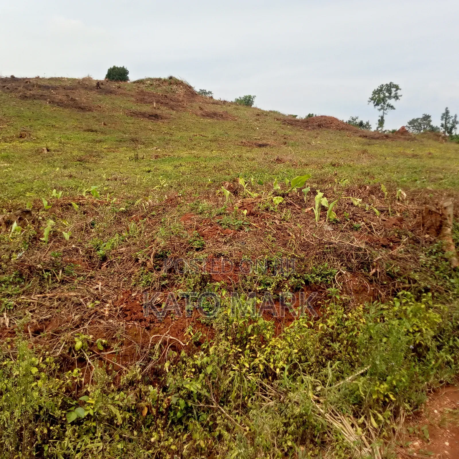 2 Acres for Sale Located at Mukono Kabembe in Mukono TC