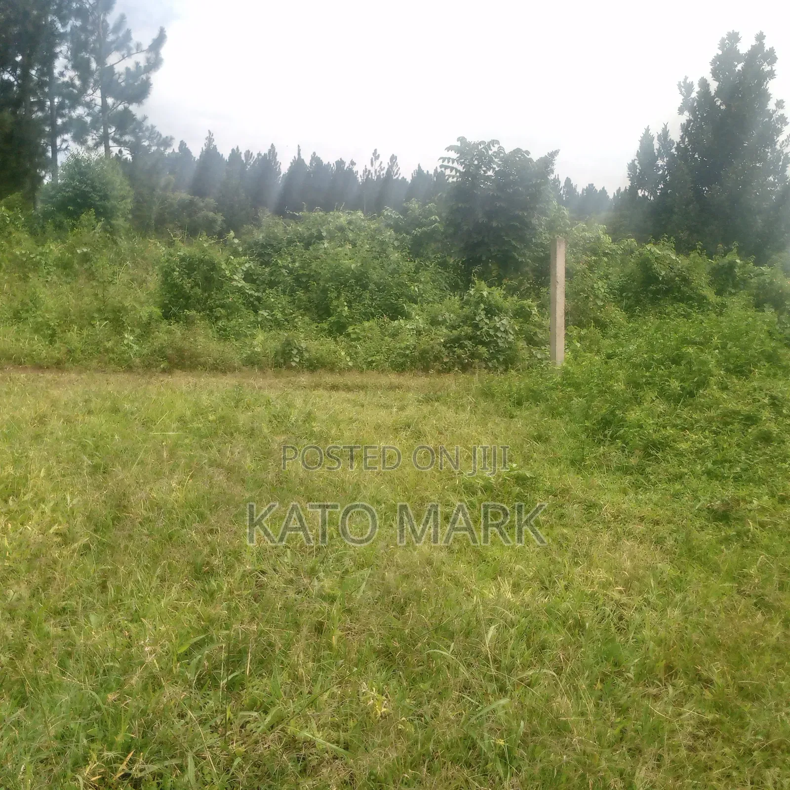 Several Plot for Sale Located at Mukono Kisowera in Mukono TC