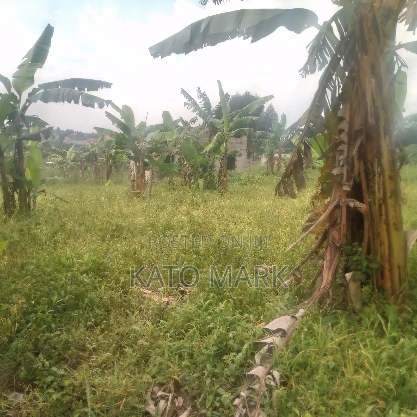Several Plot for Sale Located at Mukono Kisowera in Mukono TC
