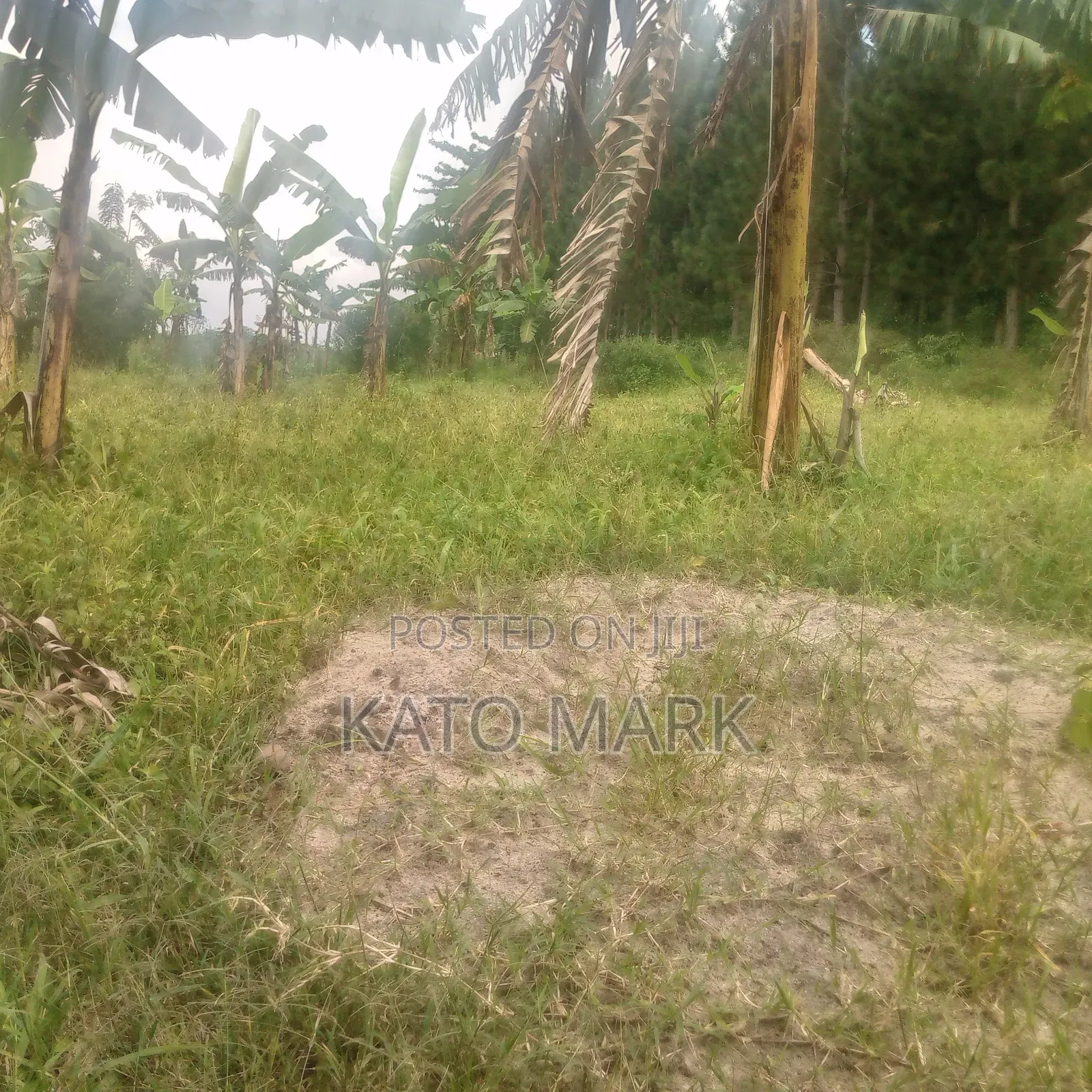Several Plot for Sale Located at Mukono Kisowera in Mukono TC