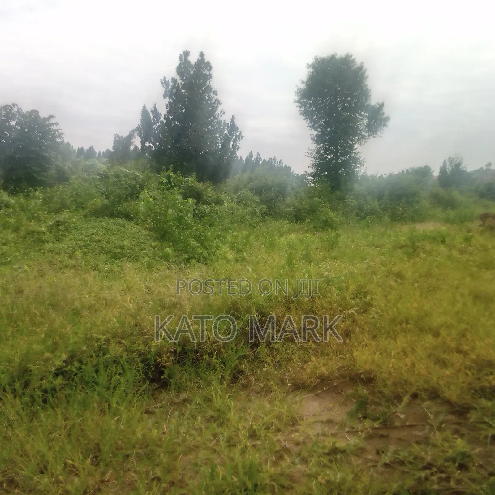 Several Plot for Sale Located at Mukono Kisowera in Mukono TC