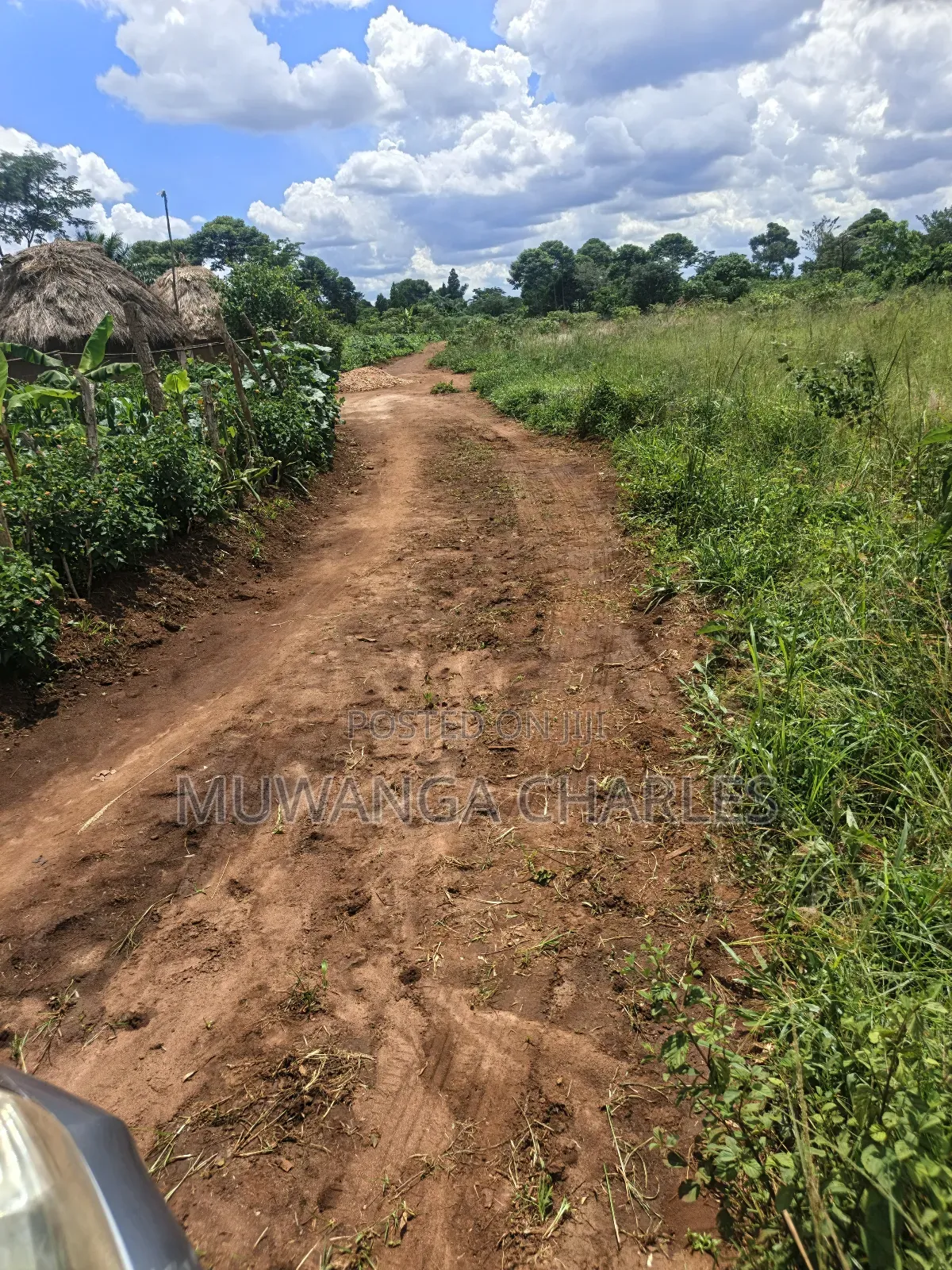 Land on Sale in Zirobwe Tongo Town in Zirobwe